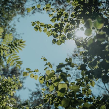 Forest Cabin - 50Min Od Warszawy Wola Polska المظهر الخارجي الصورة
