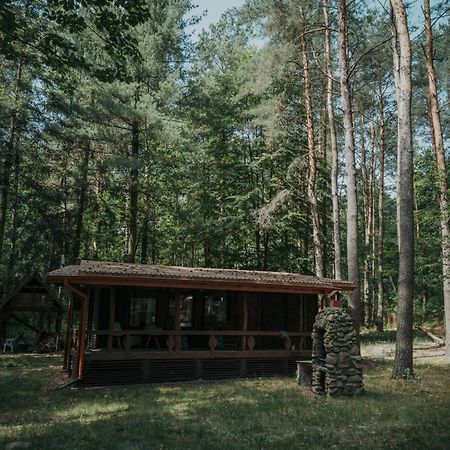 Forest Cabin - 50Min Od Warszawy Wola Polska المظهر الخارجي الصورة