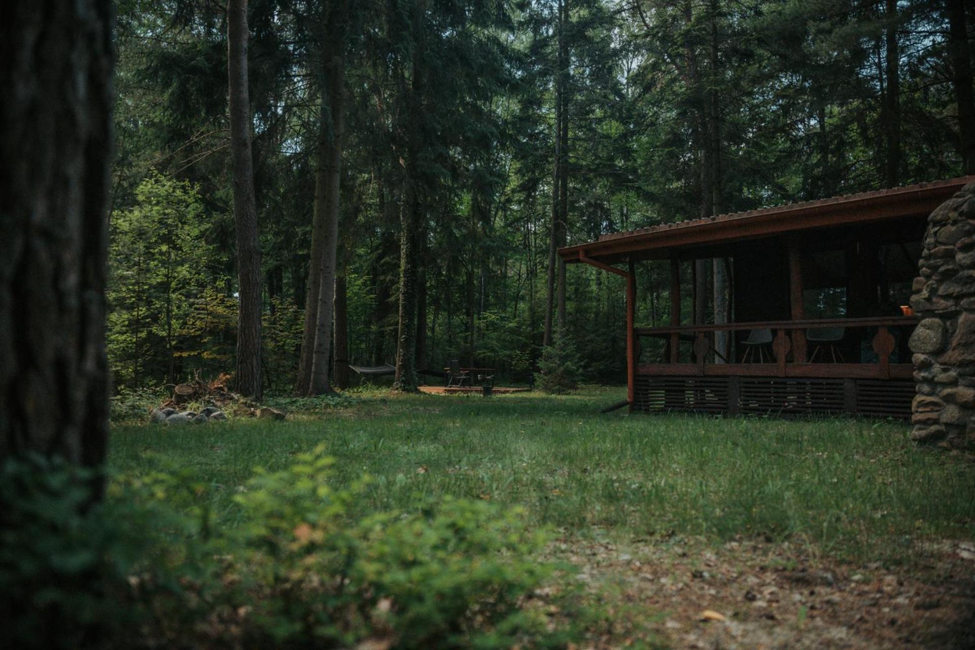 Forest Cabin - 50Min Od Warszawy Wola Polska المظهر الخارجي الصورة