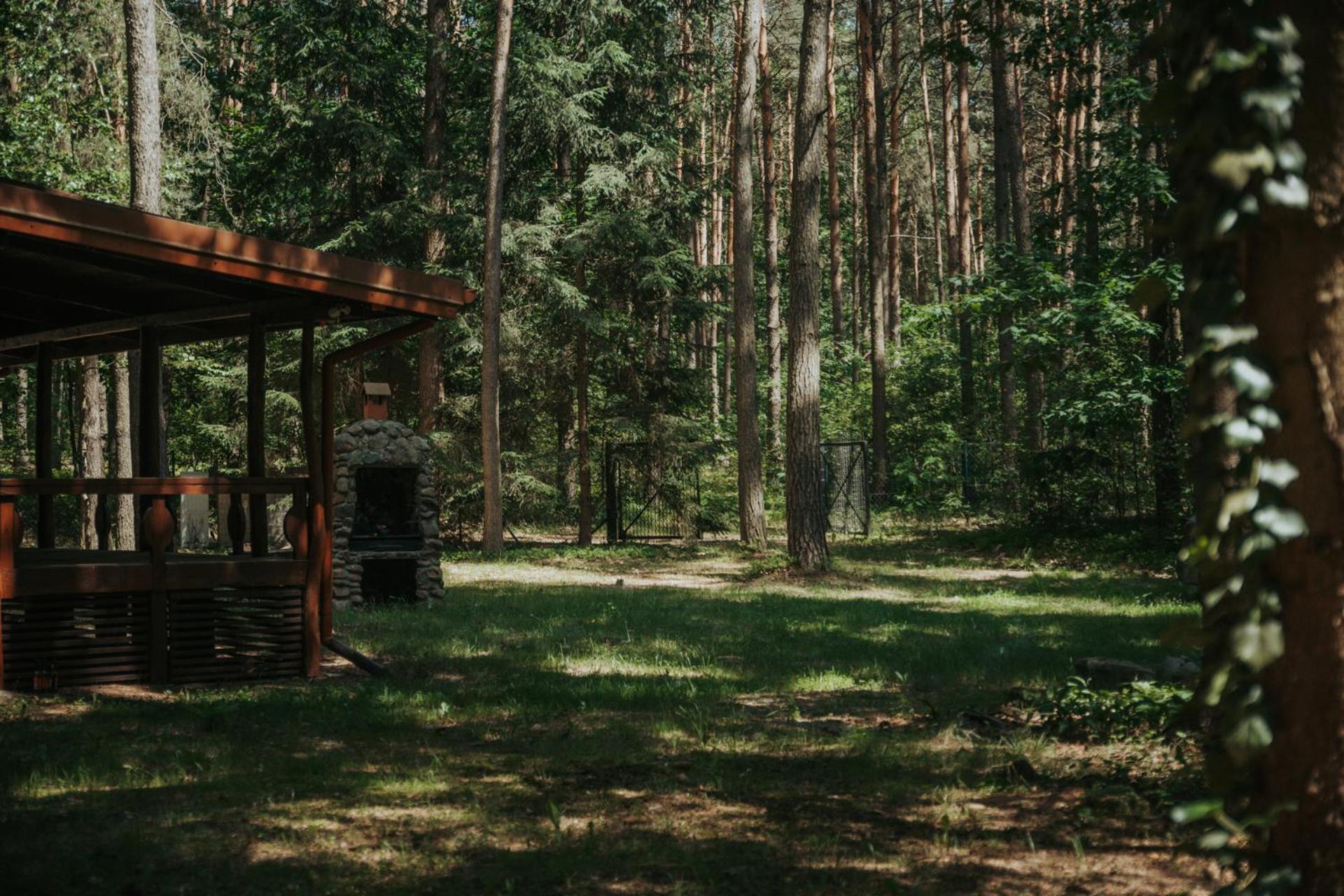 Forest Cabin - 50Min Od Warszawy Wola Polska المظهر الخارجي الصورة