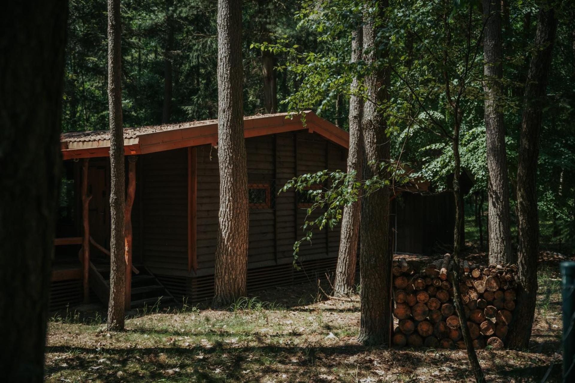 Forest Cabin - 50Min Od Warszawy Wola Polska المظهر الخارجي الصورة