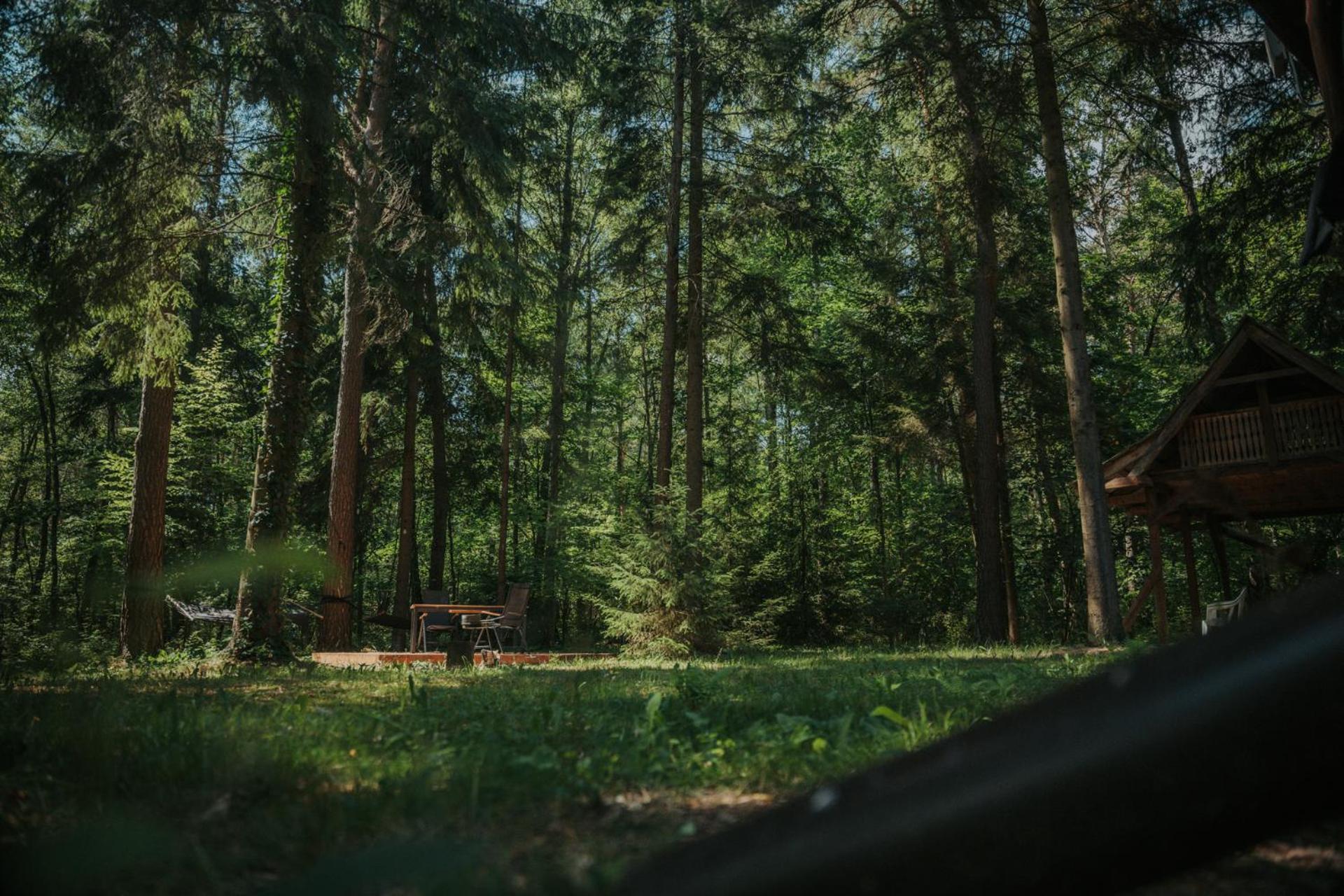 Forest Cabin - 50Min Od Warszawy Wola Polska المظهر الخارجي الصورة