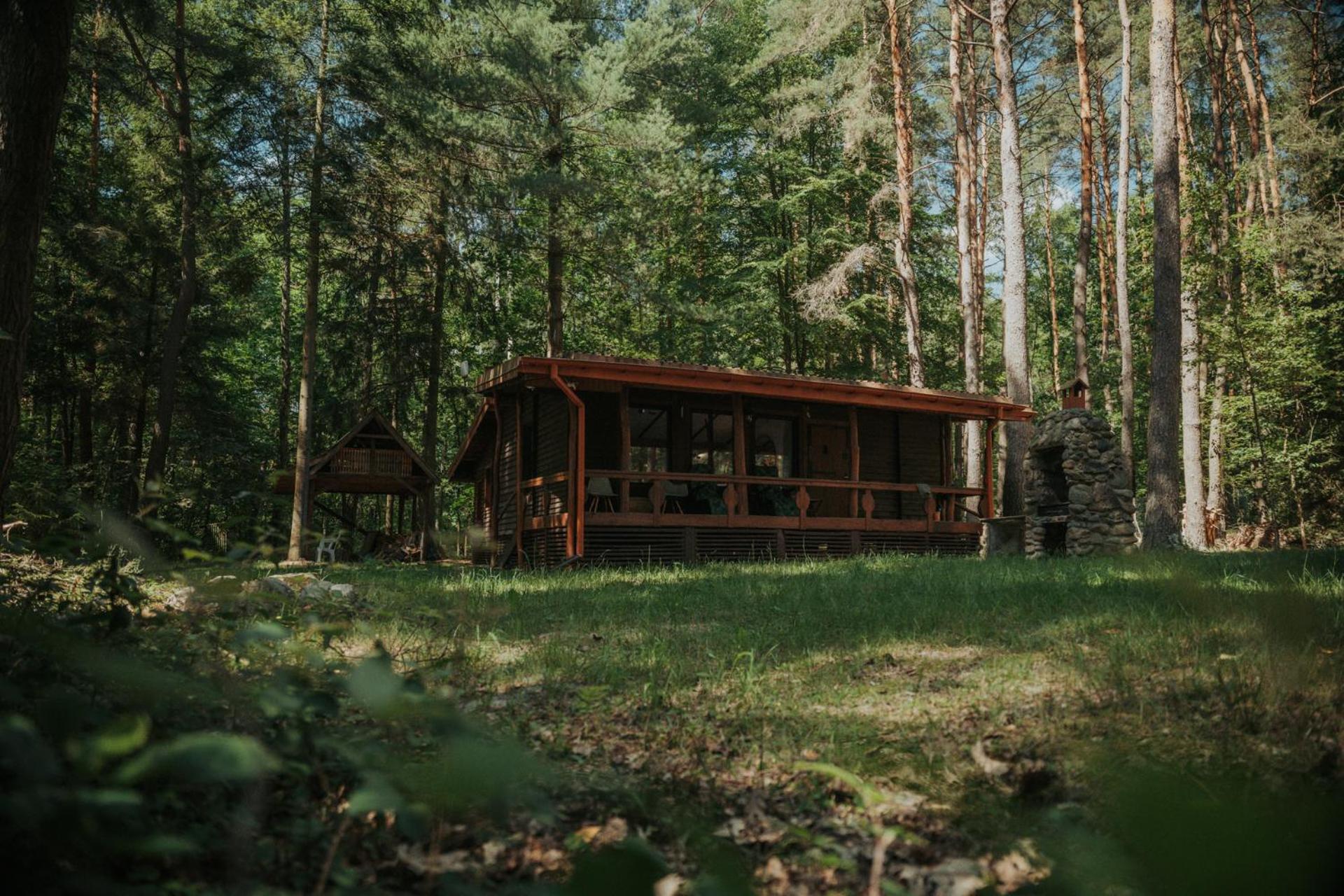 Forest Cabin - 50Min Od Warszawy Wola Polska المظهر الخارجي الصورة