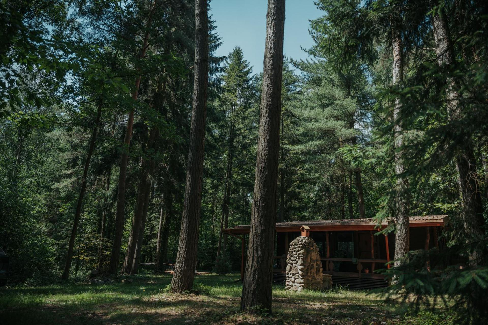 Forest Cabin - 50Min Od Warszawy Wola Polska المظهر الخارجي الصورة