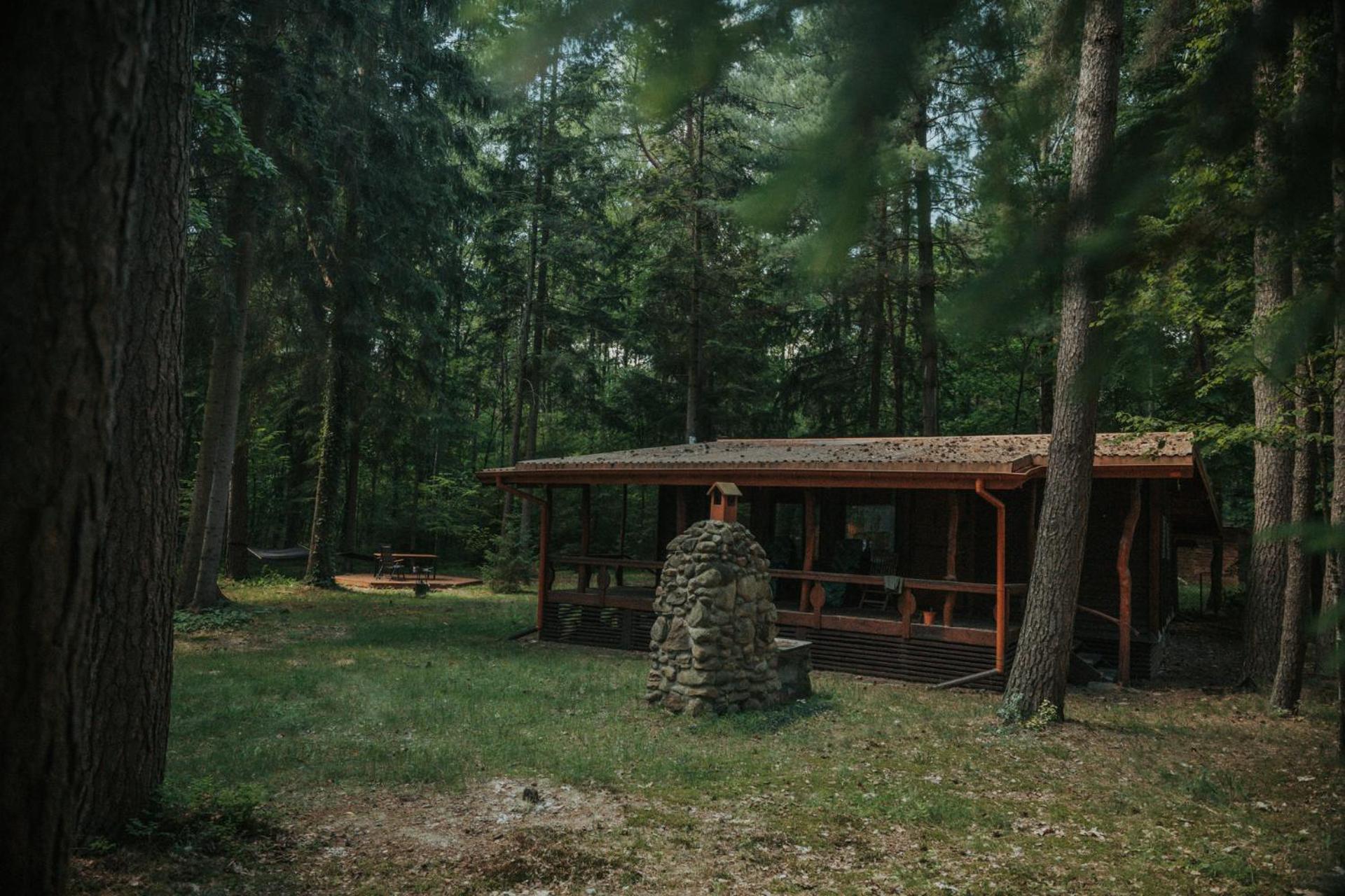 Forest Cabin - 50Min Od Warszawy Wola Polska المظهر الخارجي الصورة