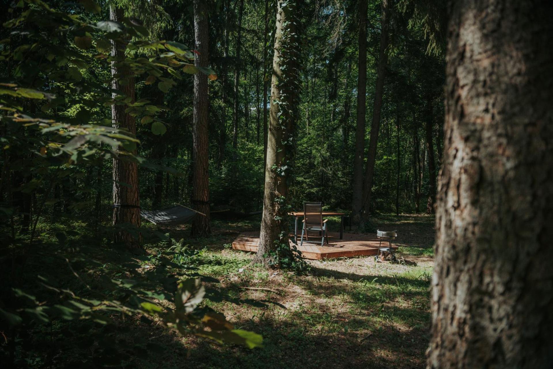 Forest Cabin - 50Min Od Warszawy Wola Polska المظهر الخارجي الصورة