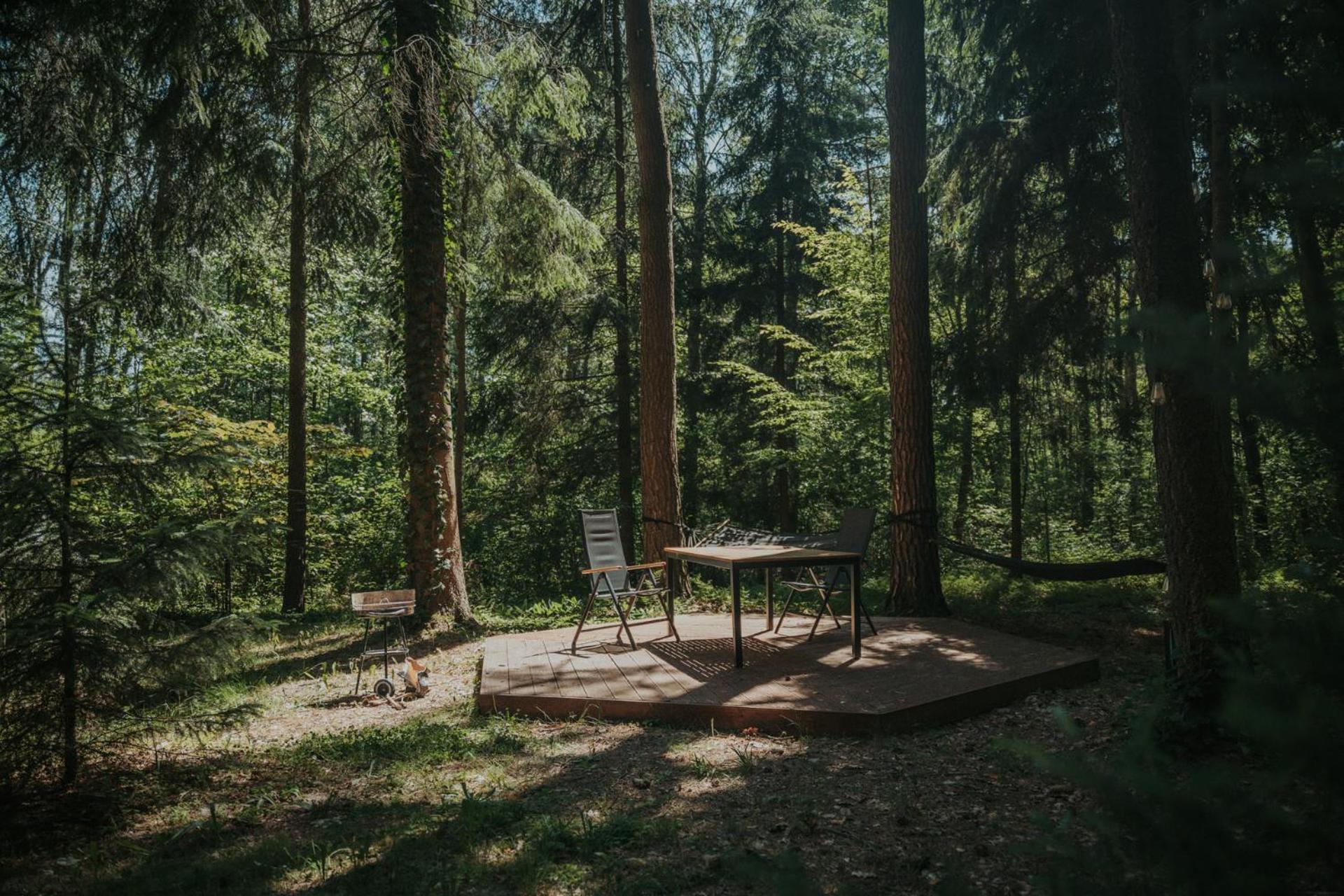 Forest Cabin - 50Min Od Warszawy Wola Polska المظهر الخارجي الصورة