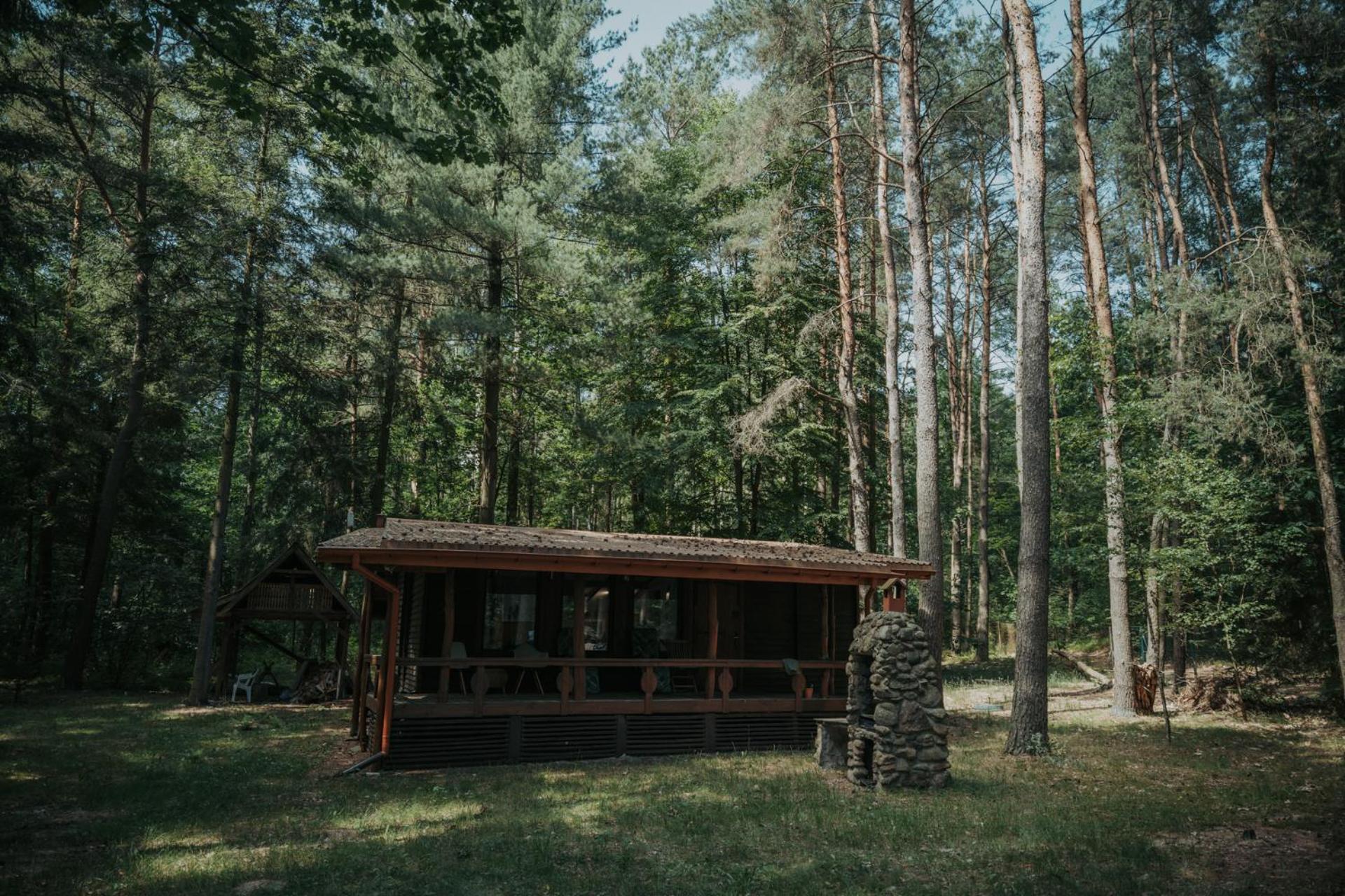 Forest Cabin - 50Min Od Warszawy Wola Polska المظهر الخارجي الصورة