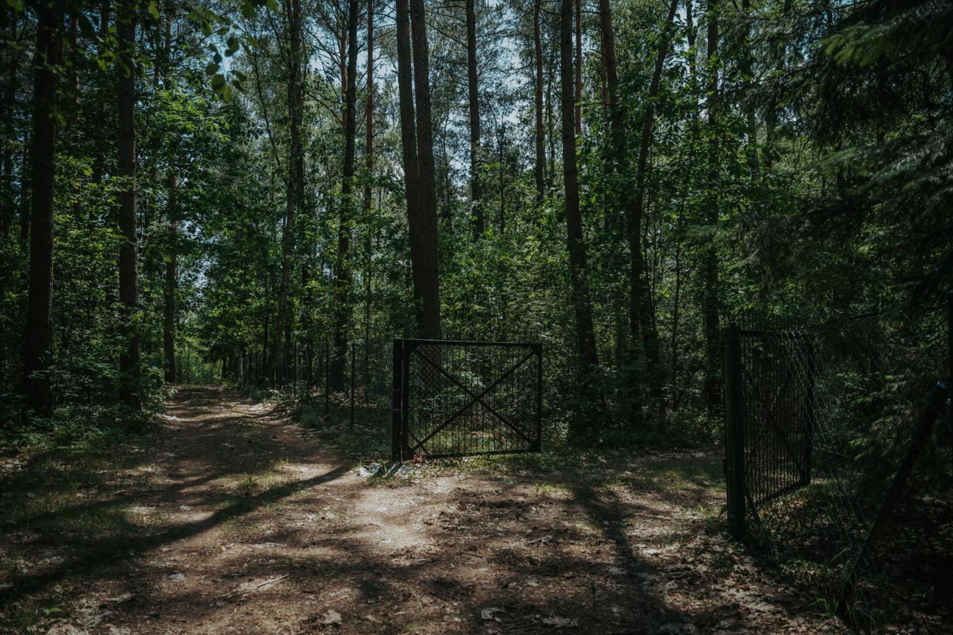 Forest Cabin - 50Min Od Warszawy Wola Polska المظهر الخارجي الصورة
